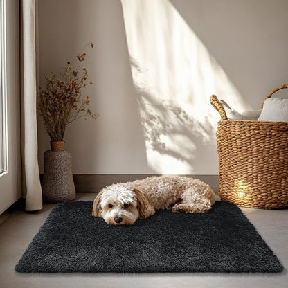 2x3 Fluffy Area Rugs for Bedroom Living Room,Small Soft Shag Fuzzy Rug Non-Shedding Indoor Plush Carpet for Kids Bedroom Nursery Dorm Home Decor,Black