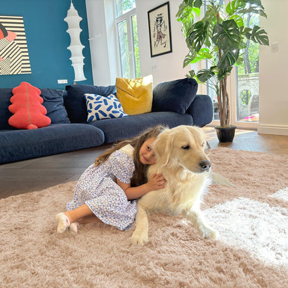 OLANLY 5x5 Area Rugs for Living Room Bedroom, Machine Washable Soft Fluffy Shaggy Bedside Rug, Indoor Floor Carpet for Kids Girls and Boys, Dorms, Nursery Rooms, Home Decor Aesthetic, Beige