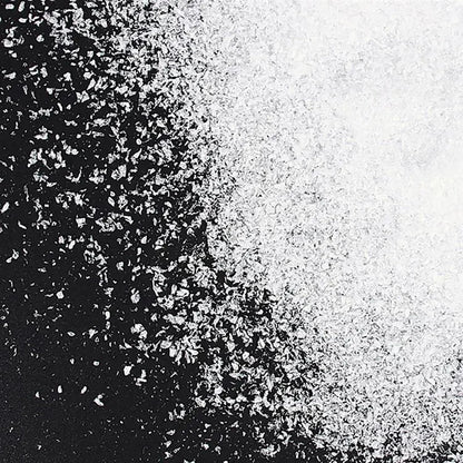 Skiennix Christmas Fake Snow | Sparkling White Artificial Flake Powder for Holiday Decor - 50g