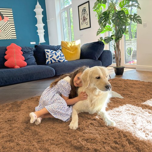 OLANLY 8x10 Machine Washable Large Area Rugs for Living Room, Bedroom, Soft Fluffy Shaggy Bedside Rug, Indoor Floor Carpet for Kids Girls and Boys, Dorms, Nursery, Home Decor Aesthetic, Khaki