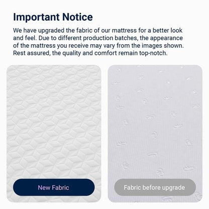Avenco Queen Mattress 12 Inch,Queen Size Mattress Medium Firm in a Box for Refresh Sleep & Pressure Relief,CertiPUR-US Certified Foam Colchones