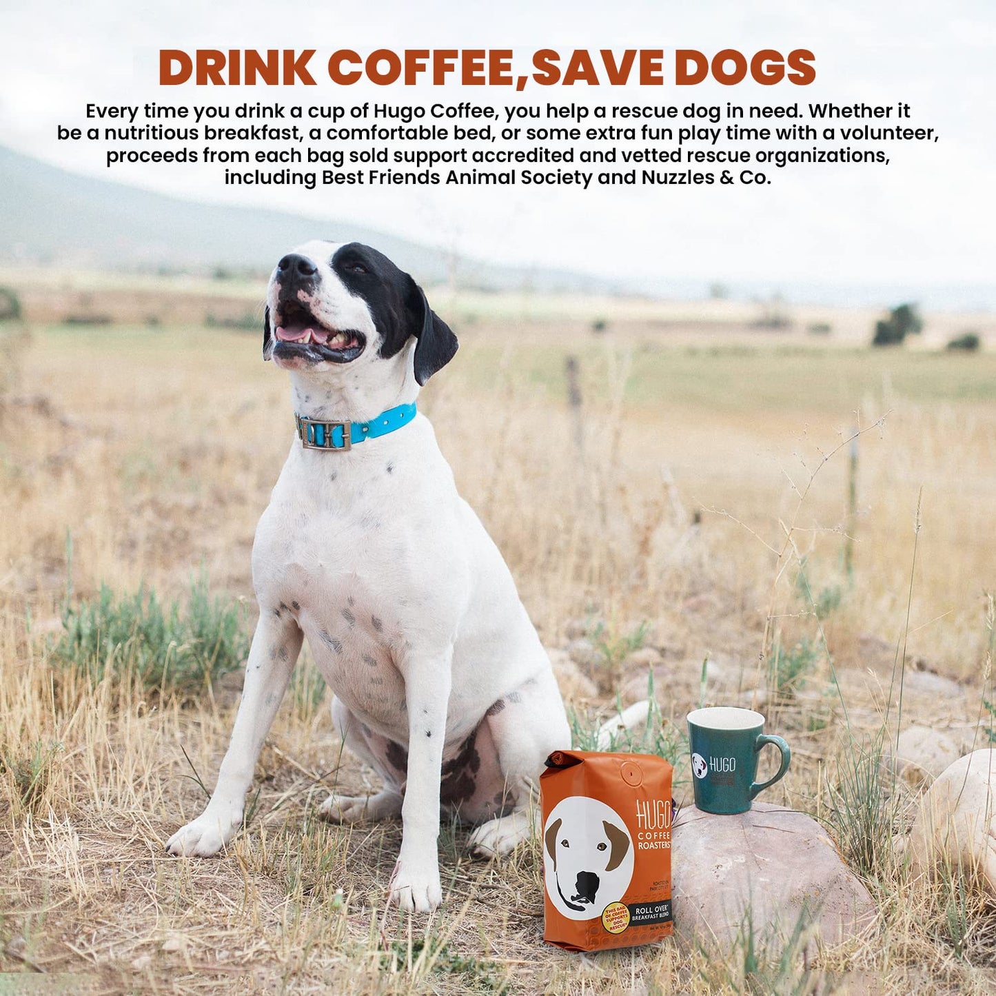 Hugo Coffee Ground Roll Over Breakfast Blend Coffee with Bright, Playful, & Sweet Tasting Notes | Hugo Supports Dog Rescues (12 oz)