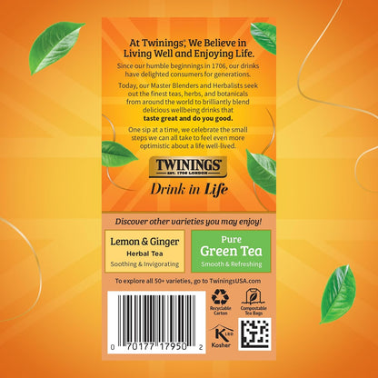 Twinings Herbal Tea - Orange & Cinnamon Spice, Naturally Caffeine-Free, 20 Individually Wrapped Bags (Pack of 2)