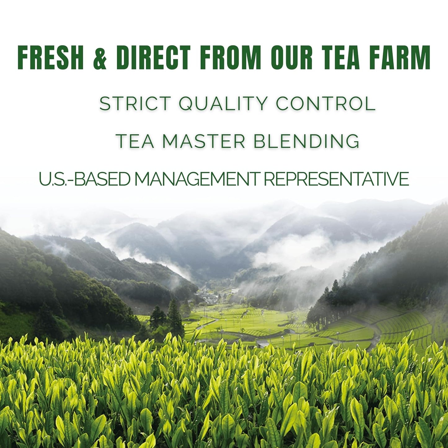 Satoen Ceremonial Grade Matcha Powder - Premium Japanese Green Tea from First Harvest (100g)
