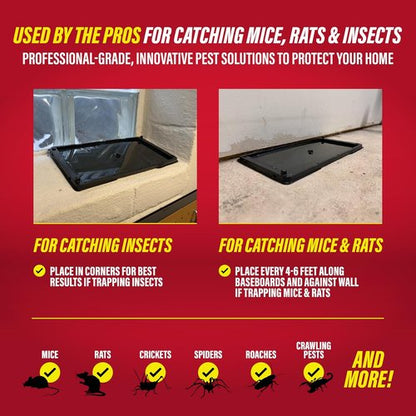 Catchmaster Rat & Mouse Traps - 10 Pack Large Bulk Adhesive Traps for Effective Pest Control