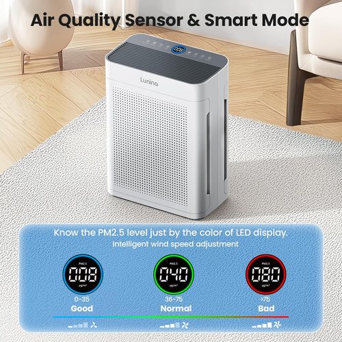 LUNINO HEPA Air Purifier - Double-Sided Design for Large Rooms up to 3000 Sq.Ft | Washable Filter & PM 2.5 Display