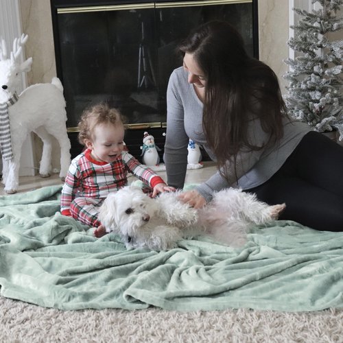 Bedsure GentleSoft Fleece Throw XL Blanket Sage Green - 300GSM Soft Lightweight Plush Cozy Blankets for Bed, Sofa, Couch, Travel, Camping, 50x70 inches