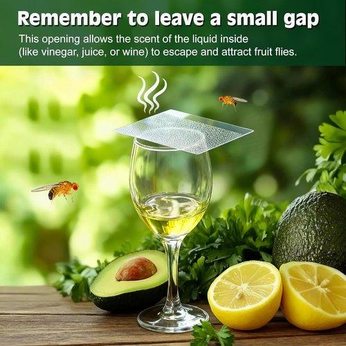 Double-Sided Sticky Trap Covers | 25 Pack Adhesive Cards for Fruit Fly Traps - Clear, Mess-Free Indoor Use