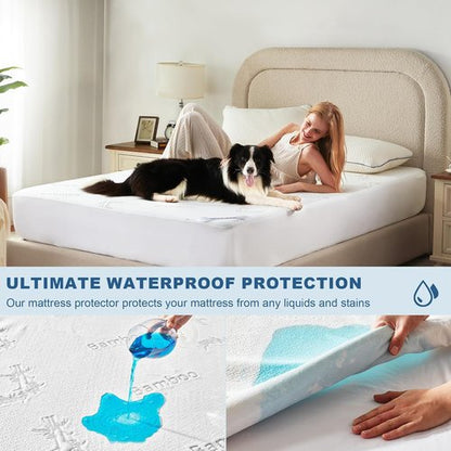 BEDLORE Queen Size Waterproof Mattress Protector - Soft Bamboo Viscose Fitted Cover, Deep Pocket, Machine Washable | White