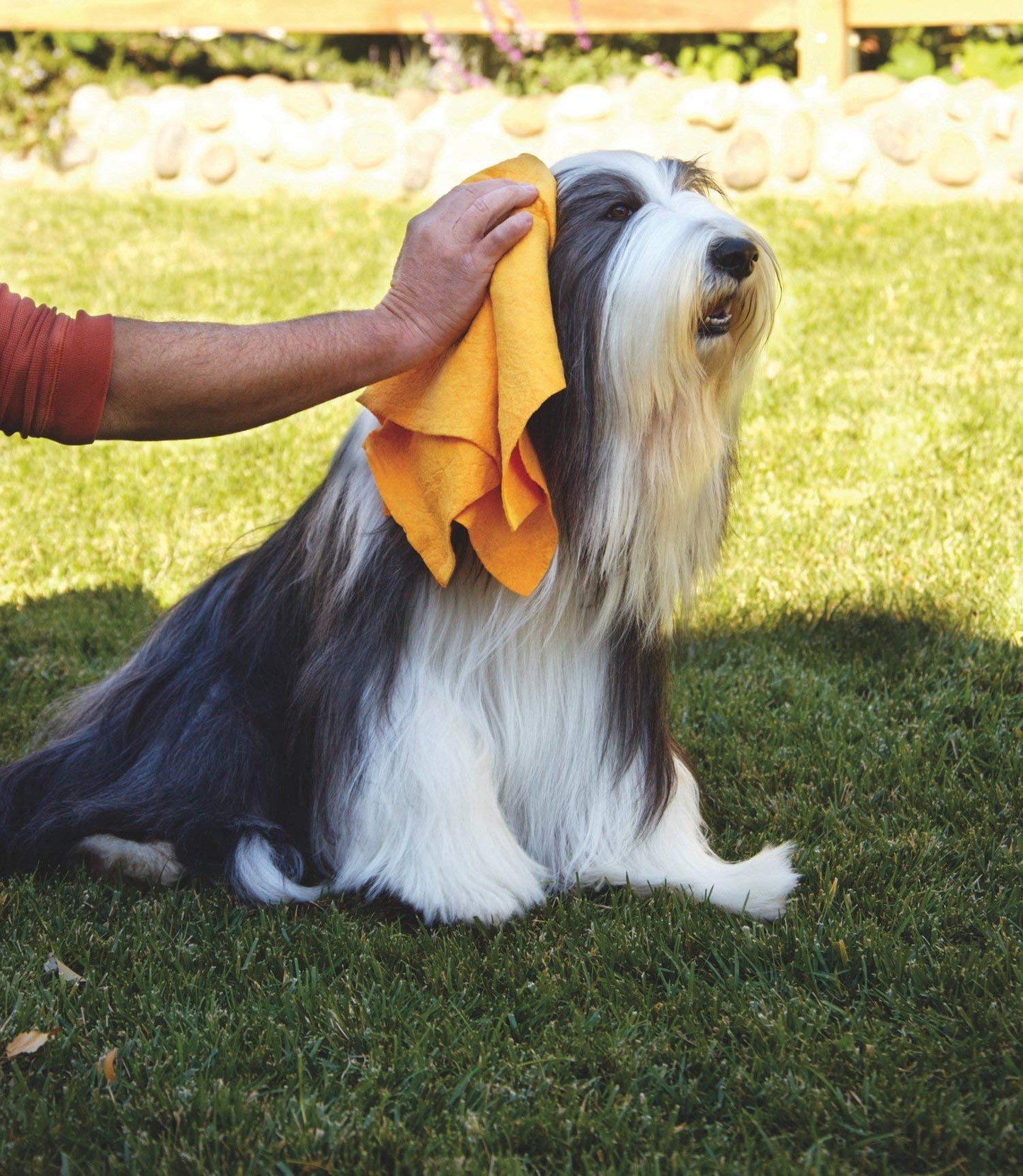 Original Shamwow - Super Absorbent Multi-Purpose Cleaning Shammy Chamois Towel Cloth - Holds 10X its Weight in Liquid - Machine Washable - Will Not Scratch (8 Pack, Orange)