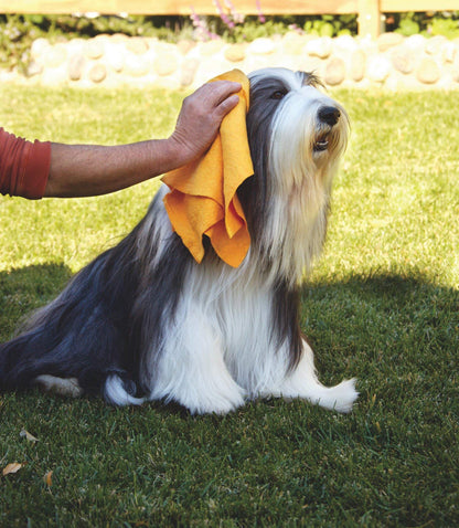 Original Shamwow - Super Absorbent Multi-Purpose Cleaning Shammy Chamois Towel Cloth - Holds 10X its Weight in Liquid - Machine Washable - Will Not Scratch (8 Pack, Orange)