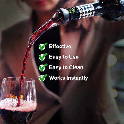 Wine Aerator Pourer (2 Pack, Silver and Black) by Vintorio