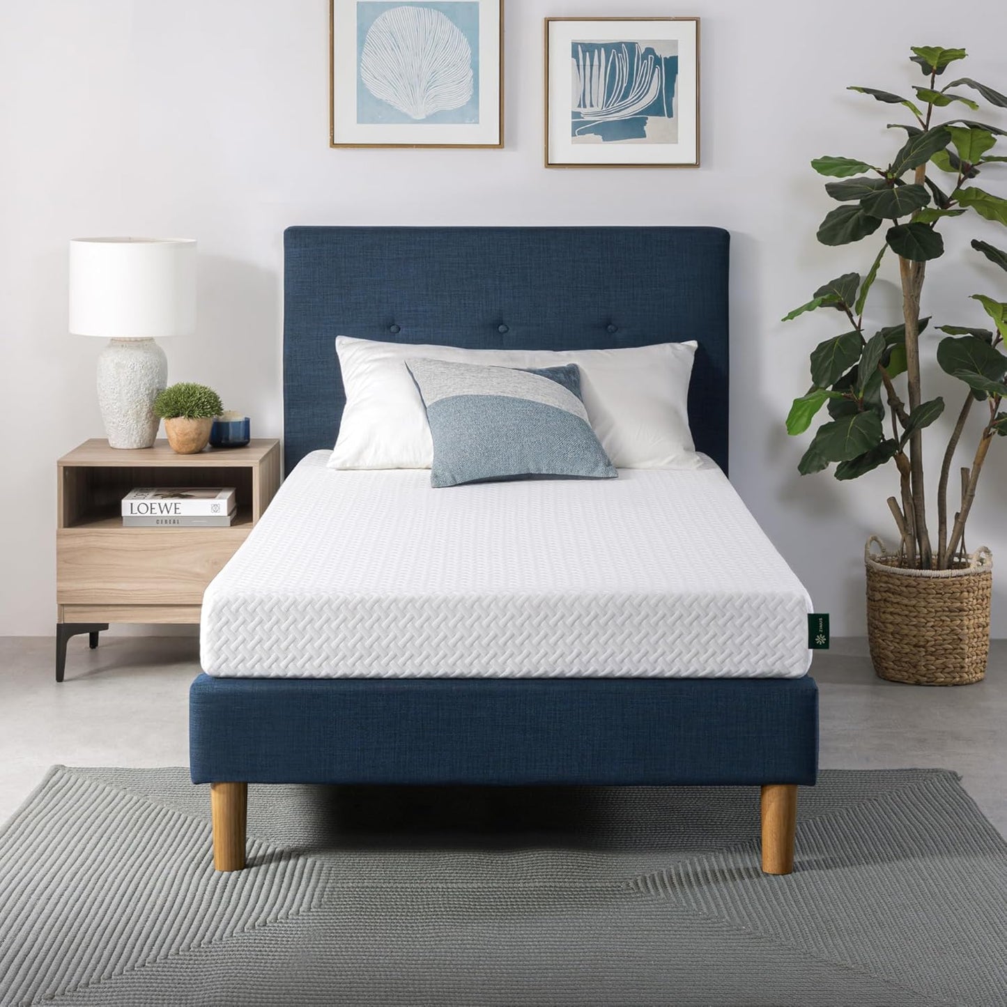 ZINUS 6 Inch Twin Memory Foam Mattress - Cooling Essential Design, Medium Feel, Fiberglass Free, Safe Materials