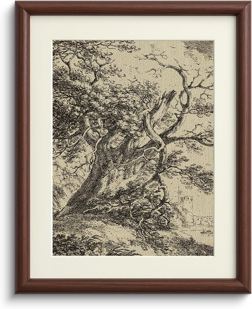 InSimSea Oak Tree Wall Art - Vintage Farmhouse Landscape Painting | 11x14in with Acrylic Panel