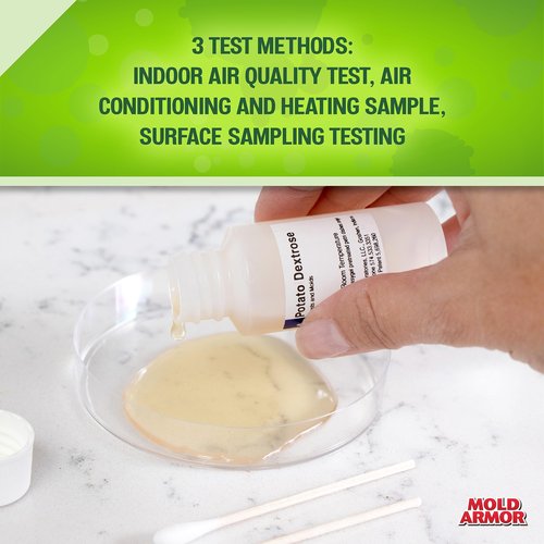 Mold Armor Do It Yourself Mold Test Kit for Home, Test Surfaces, Air Quality, and HVAC, Safe and Easy to Use, Effective Both Indoors and Outdoors
