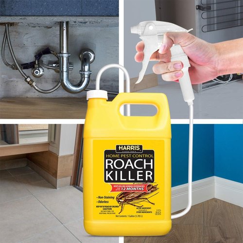Harris Roach Killer - Odorless Liquid Spray with 12-Month Residual Kill Formula | 1 Gallon