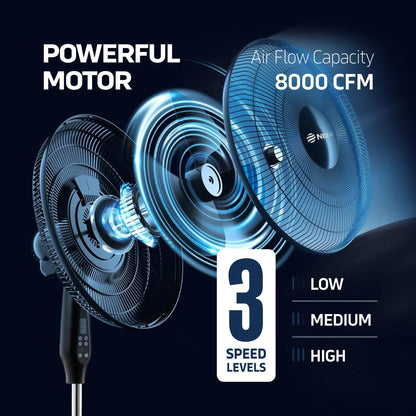NEXAIR Oscillating 16 Inch Pedestal Stand Up Quiet Operating Room Fan With Remote Control, 3 Speed, with Adjustable Height, Standing Fan Great For Office & Living Room