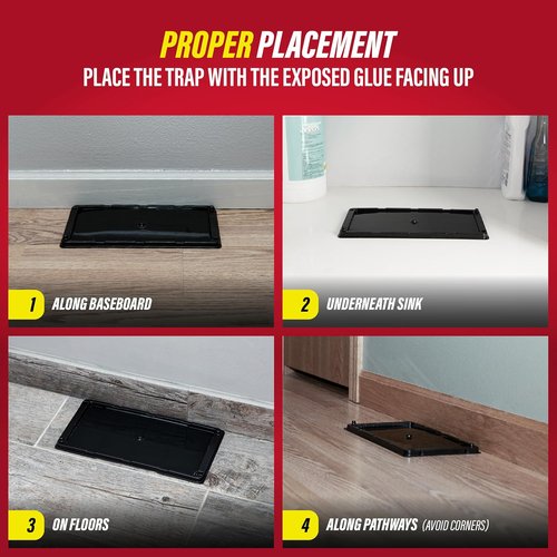 Catchmaster Rat & Mouse Traps - 10 Pack Large Bulk Adhesive Traps for Effective Pest Control