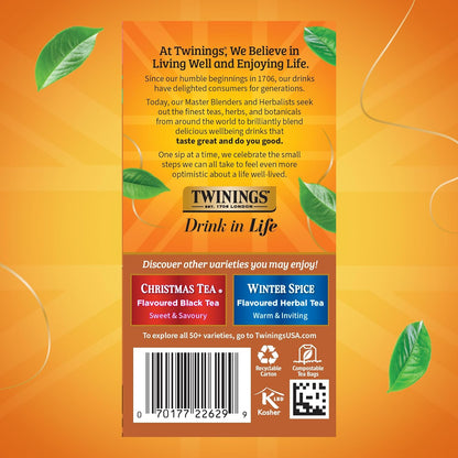 Twinings Gingerbread Joy Black Tea - Caffeinated Ginger & Cinnamon Flavor | 20 Individually Wrapped Teabags