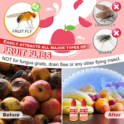 Qualirey Fruit Fly Trap - Indoor 4-Pack with Refill Liquid & 60 Sticky Pads | Safe for Pets & Kids