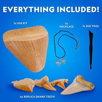National Geographic Shark Tooth Dig Kit - Excavate Replica Shark Fossils | STEM Activity for Kids Ages 6-8