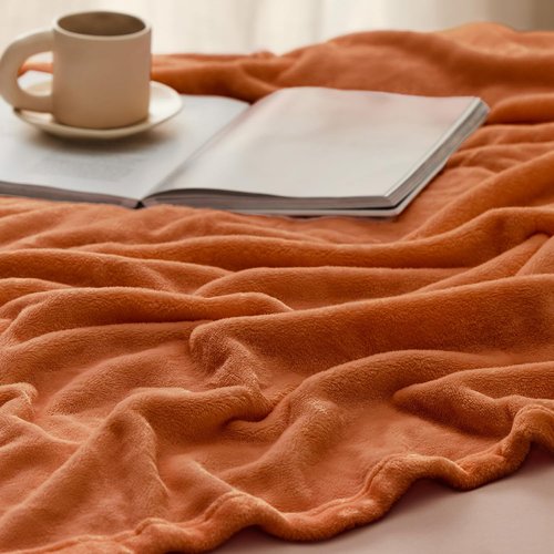 Bedsure GentleSoft Fleece Blanket - Queen Size 280GSM Plush, Lightweight & Cozy for Home or Travel