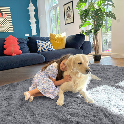 OLANLY 5x7 Machine Washable Large Area Rugs for Living Room, Bedroom, Soft Fluffy Shaggy Bedside Rug, Indoor Floor Carpet for Kids Girls and Boys, Dorms, Nursery, Home Decor Aesthetic, Light Grey