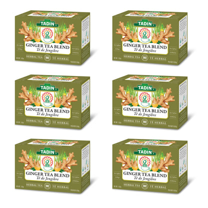 Tadin Ginger Tea Blend, Herbal Tea, Caffeine Free Tea, Fall Tea, Decaf Tea, Tea Packets for Hot Tea, 24 Tea Bags Per Box, Pack of 6