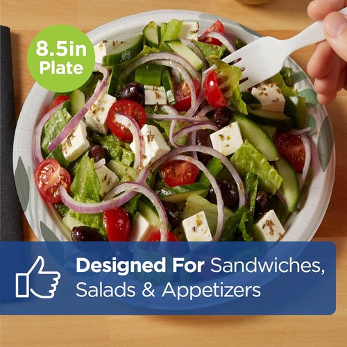 Dixie 8.5-Inch Medium-Weight Disposable Paper Plates - Pathways Design | 300 Count Bulk Case