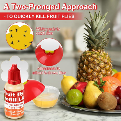 Qualirey Fruit Fly Trap - Indoor 4-Pack with Refill Liquid & 60 Sticky Pads | Safe for Pets & Kids