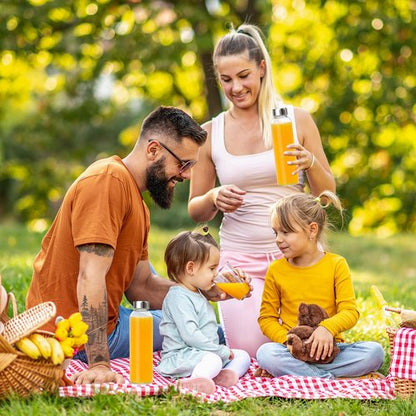 KEYWING 12Packs Glass Juice Bottles with Lids, 18oz Clear Juicing Bottle with Reusable Glass, Leak Proof Water Bottles with Airtight Stainless Steel Cap for Juice, Coffee, Beverage, Smoothies, Tea