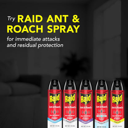 Raid Ant & Roach Aerosol Bug Spray - Water-Based Insecticide, Kills On Contact, 17.5 oz