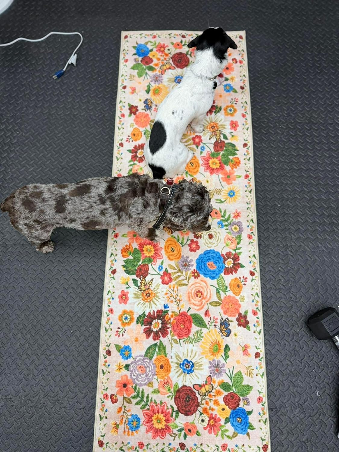 Skiennix Runner Rug - Non-Slip Washable Floral Carpet for Hallways & Kitchens | 2x6 Feet, Beige
