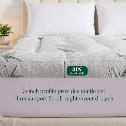 Queen Memory Foam Mattress Topper 3" with Bamboo Cooling 8-21" Deep Pocket - Green Variation