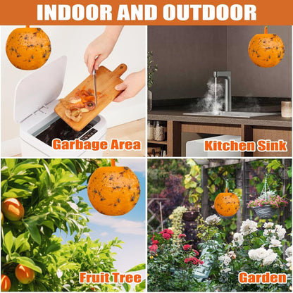 Skiennix Fly Sticky Trap Balls - 6 PCS Outdoor Fruit Fly & Gnat Catchers for House Plants | Effective Bug Control