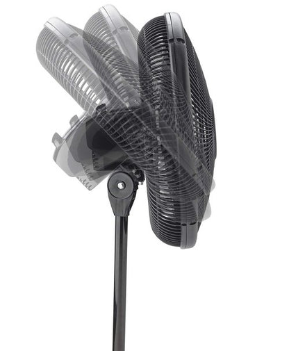 Lasko 2521 16 Inch 3-Speed Quiet Adjustable Tilting Wide-Area Oscillating Standing Pedestal Fan for Bedroom, Kitchen, Home, and Office, Black