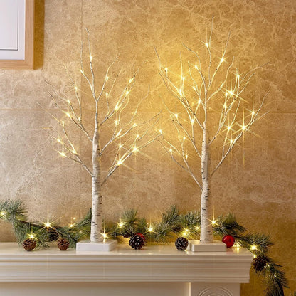 PEIDUO 2FT Birch Tree LED Light Decoration - Warm White Easter Table Lamp | Battery Powered, Timer (2PK)