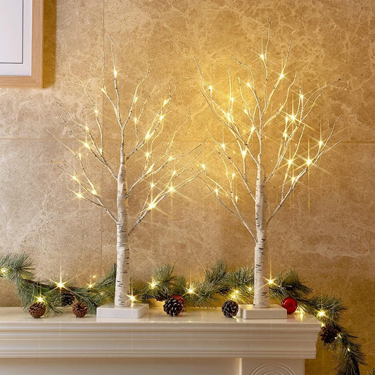 PEIDUO 2FT Birch Tree LED Light Decoration - Warm White Easter Table Lamp | Battery Powered, Timer (2PK)