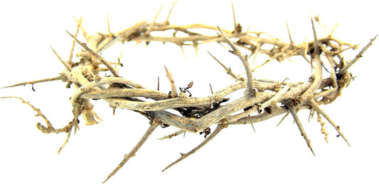 Skiennix Handmade 6-Inch Crown Thorns Cross Accent - Perfect Religious Gift for Easter & Lent