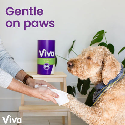 Viva Signature Cloth Paper Towels - 6 Double Rolls | 12 Single Rolls | 94 Sheets Per Roll