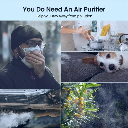 FLT4825 Replacement Filter B Fit for Germ Guardian Air Purifier, ac4825e Replacement Filter Fit for ac4825 AC4825 AC4300 AC4900 AC4825DLX AC4850 CDAP4500 AP2200, 2 True HEPA + 6 Carbon Filters