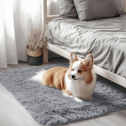OLANLY Small Bedside Rug - Soft, Machine Washable Shaggy Throw Rug for Bedroom & Nursery | Light Grey
