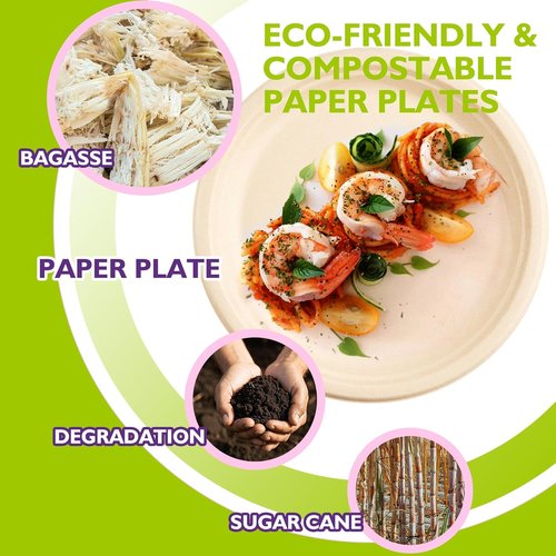 Eco-Plate 9-Inch Compostable Paper Plates - Biodegradable Heavy-Duty Round Plates | 125 Pack, Unbleached Brown