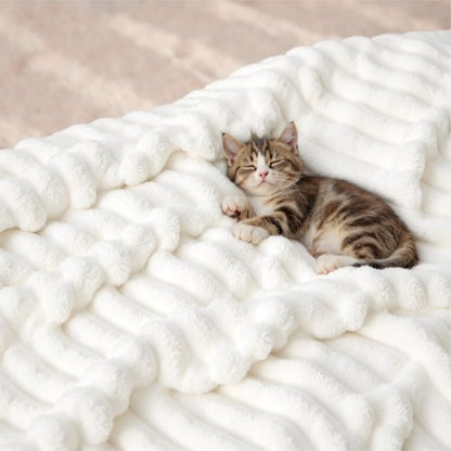 Bedsure GentleSoft Full Size Blanket for Bed - Cozy Soft Blankets for Women, Cute Large Fleece Throws for Girls, Off White, 84x90 Inches