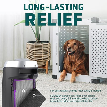 GermGuardian HEPA Air Purifier Filter B - Removes 99.97% of Pollutants | 2-Pack, Black/Purple