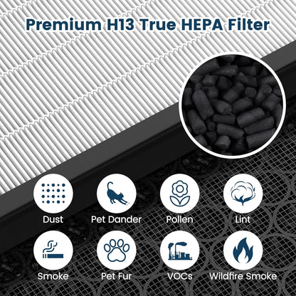 Vital 100S-P Replacement Filter - 3-in-1 H13 True HEPA & Activated Carbon | 2 Pack White