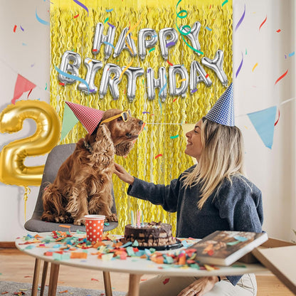 Skiennix Gold Fringe Curtain Backdrop - Tinsel Streamers for Birthday & Graduation Parties | 2 Pack