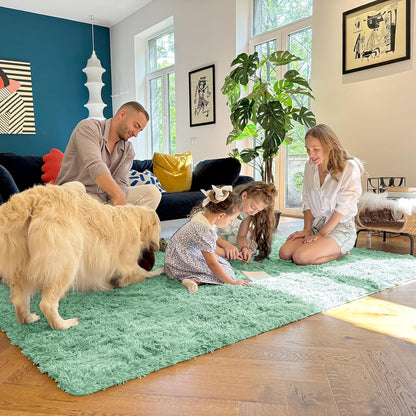 OLANLY Large 5x7 Machine Washable Area Rug - Soft Fluffy Shaggy Indoor Carpet in Mint Green for Living Room & Bedroom