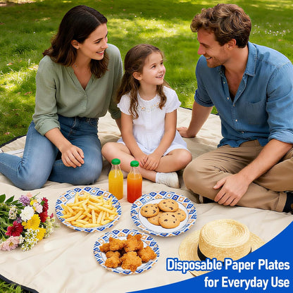 Regine Switzerland 120 PCS Disposable Paper Plates - 9 Inch Heavy Duty, Cut Proof & Soak Proof for Parties & Gatherings
