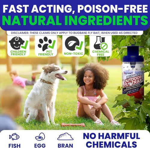 2 Fly Traps | Outdoor Patio Fly Trap with 4 Non-Toxic Bait Refills - Reusable Bug Catcher for Yard